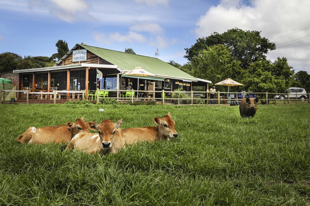 Natures Way Farm Cottage The Crags Luaran gambar
